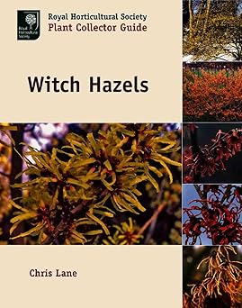 Witch Hazels (Royal Horticultural Society Plant Collector Guide) by Christopher Lane