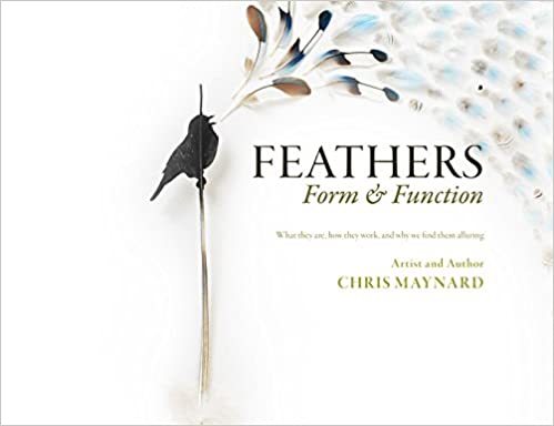 Feathers' Form & Function