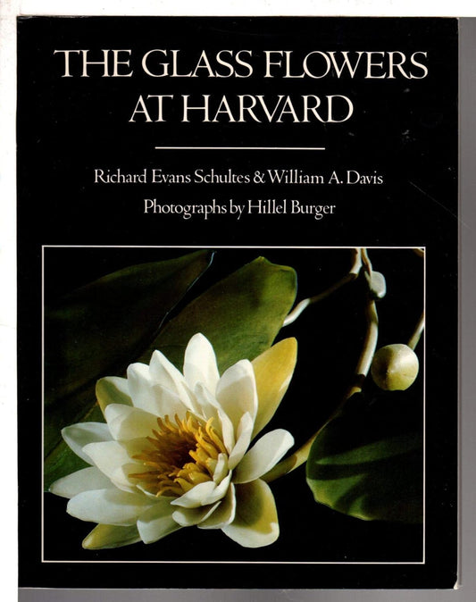 The Glass Flowers at Harvard by Richard Evans Schultes and William A. Davis, with photographs by Hillel Burger