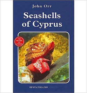 Seashells of Cyprus