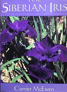 The Siberian Iris by Currier McEwen