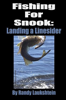 Fishing For Snook: Landing A Linesider