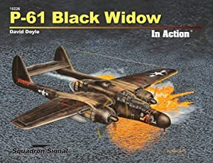 P-61 Black Widow In Action